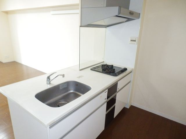 Kitchen. 2 lot gas stoves in the kitchen. Loose also behind