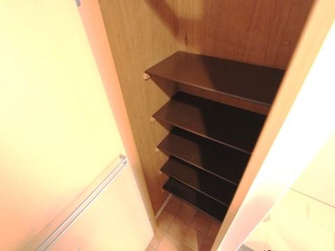 Other room space. Cupboard