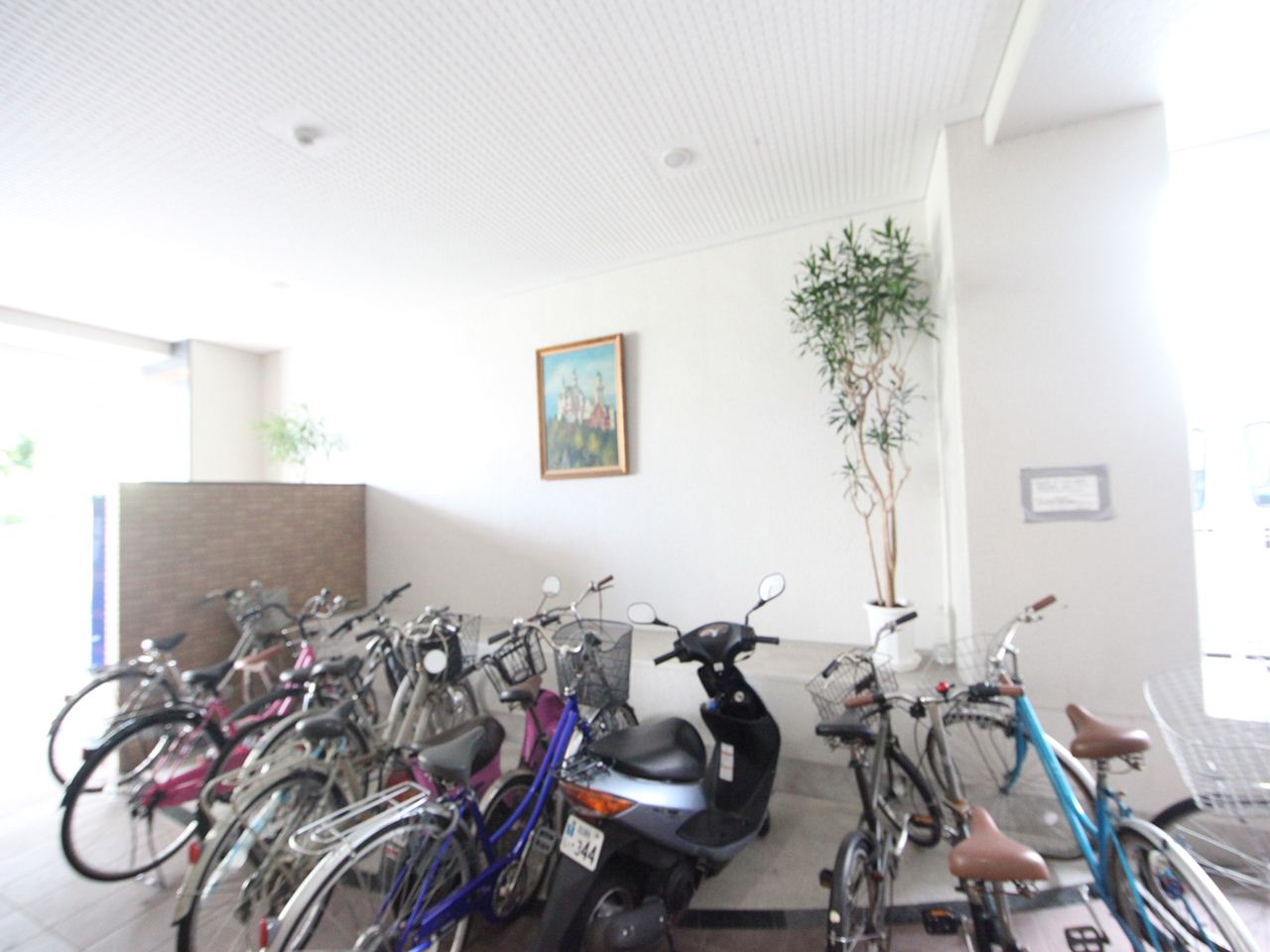 Other common areas. Bicycle-parking space