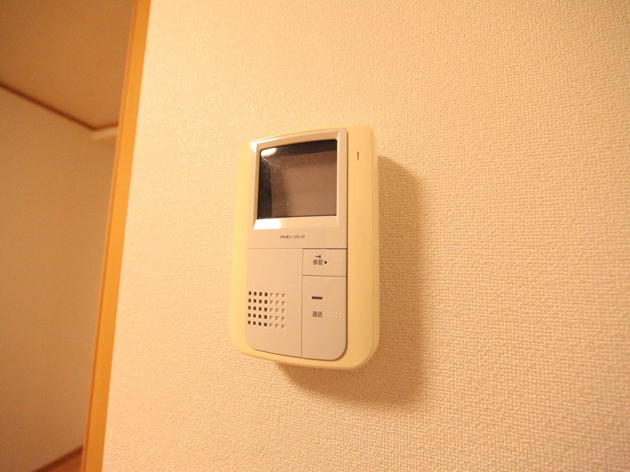 Security. Intercom with TV monitor