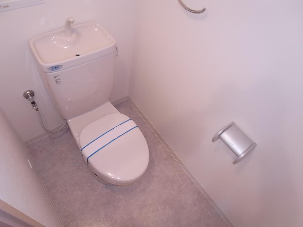 Toilet. Warm water washing toilet seat mounting Allowed toilet