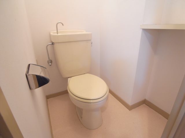 Toilet. It is a toilet with a clean.