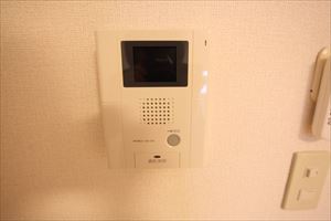 Security. Security Intercom with TV monitor