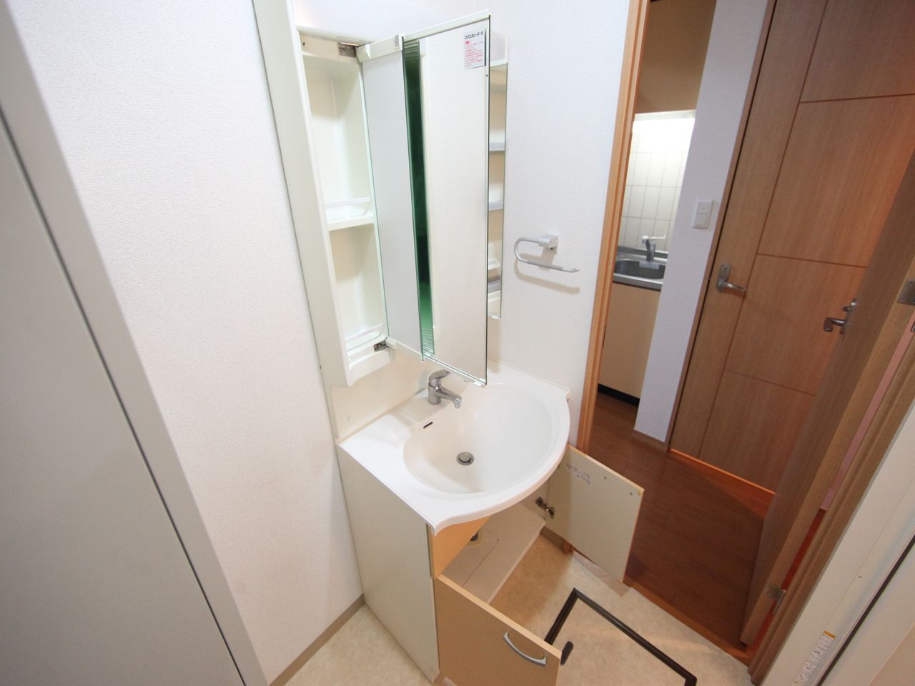 Washroom. Separate vanity (shampoo dresser)