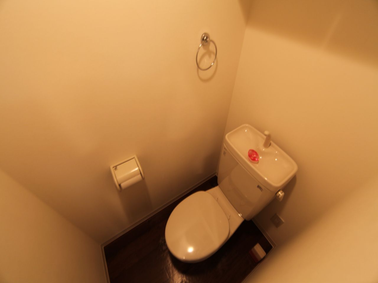 Toilet. Warm water washing toilet seat mounting Allowed toilet