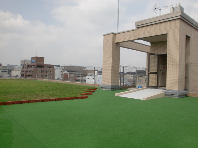 Other common areas. Rooftop dog run space