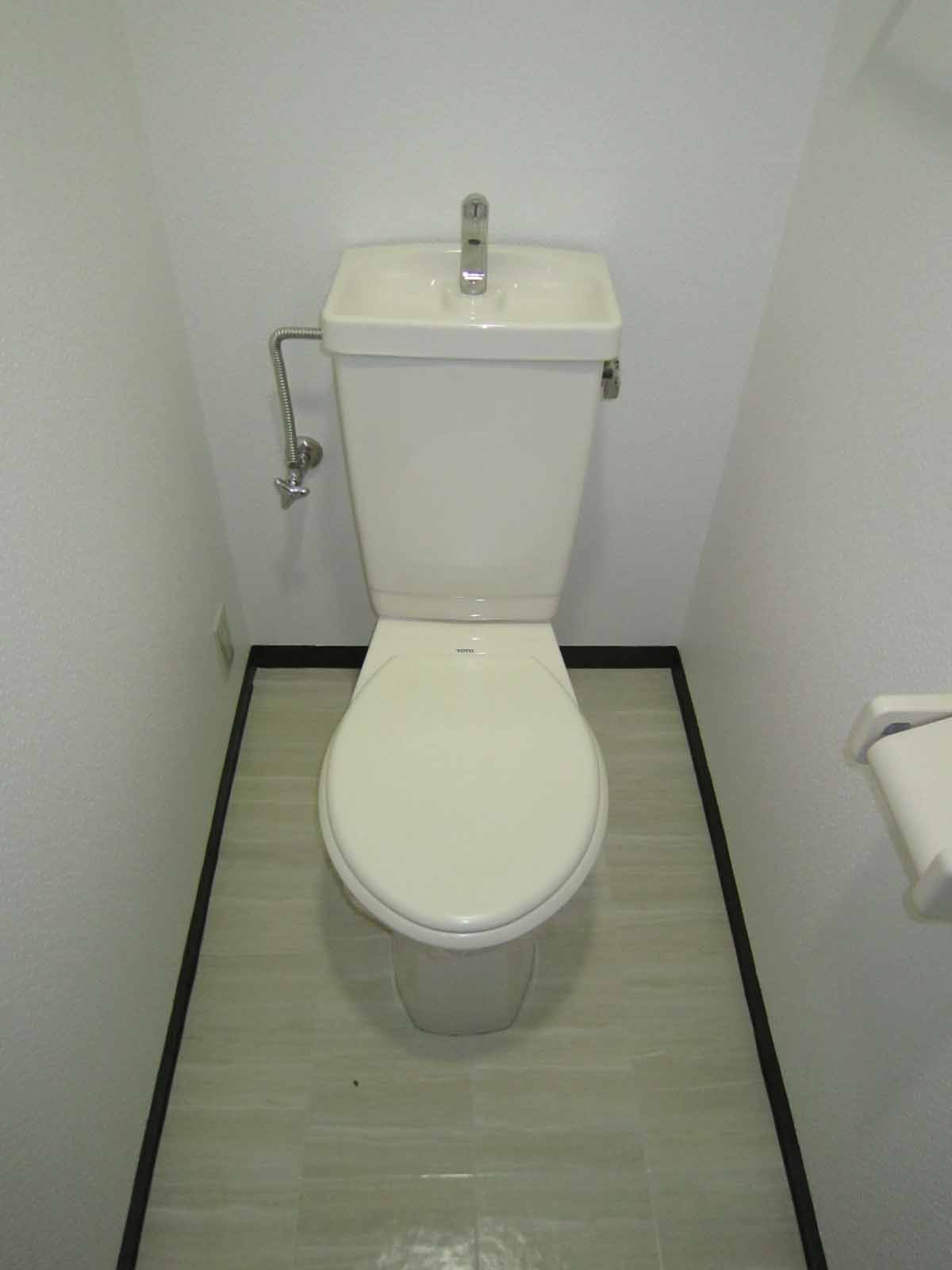 Toilet