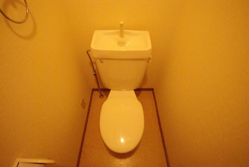 Toilet. Toilet