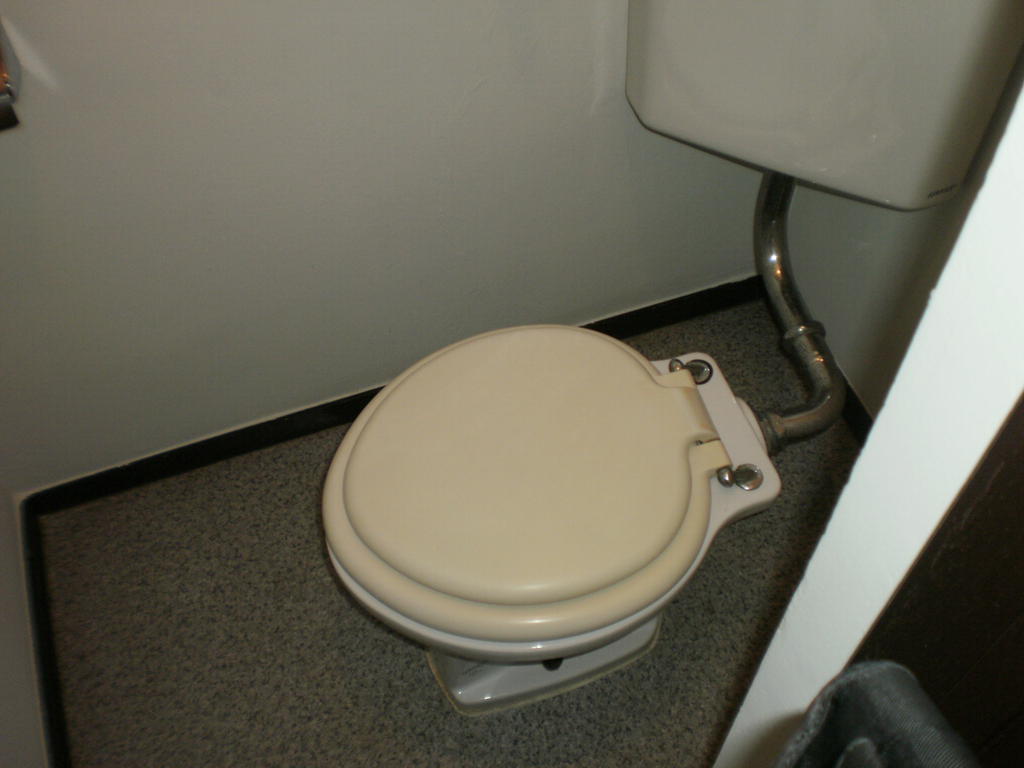 Toilet. Toilet space