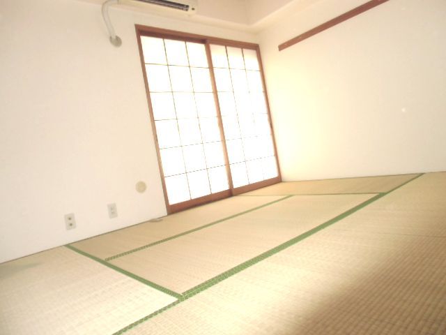 Living and room. Japanese style room