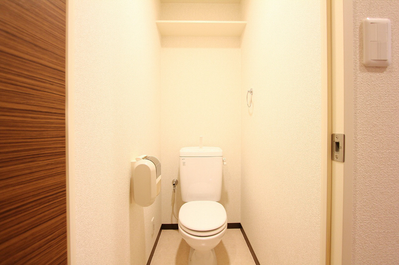 Toilet. A cleanliness with the top shelf is the restroom.