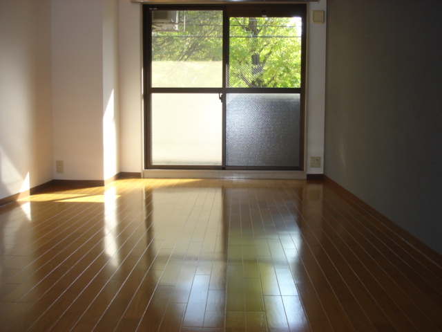 Living and room. Western style room