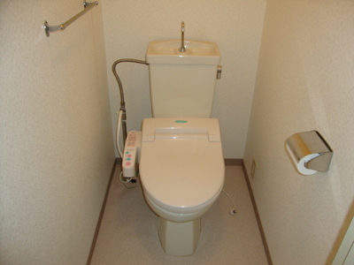 Toilet. Toilet