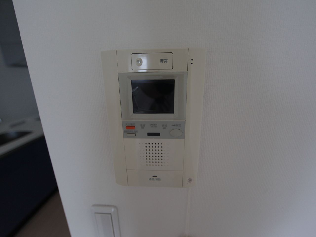 Security. Intercom with TV monitor