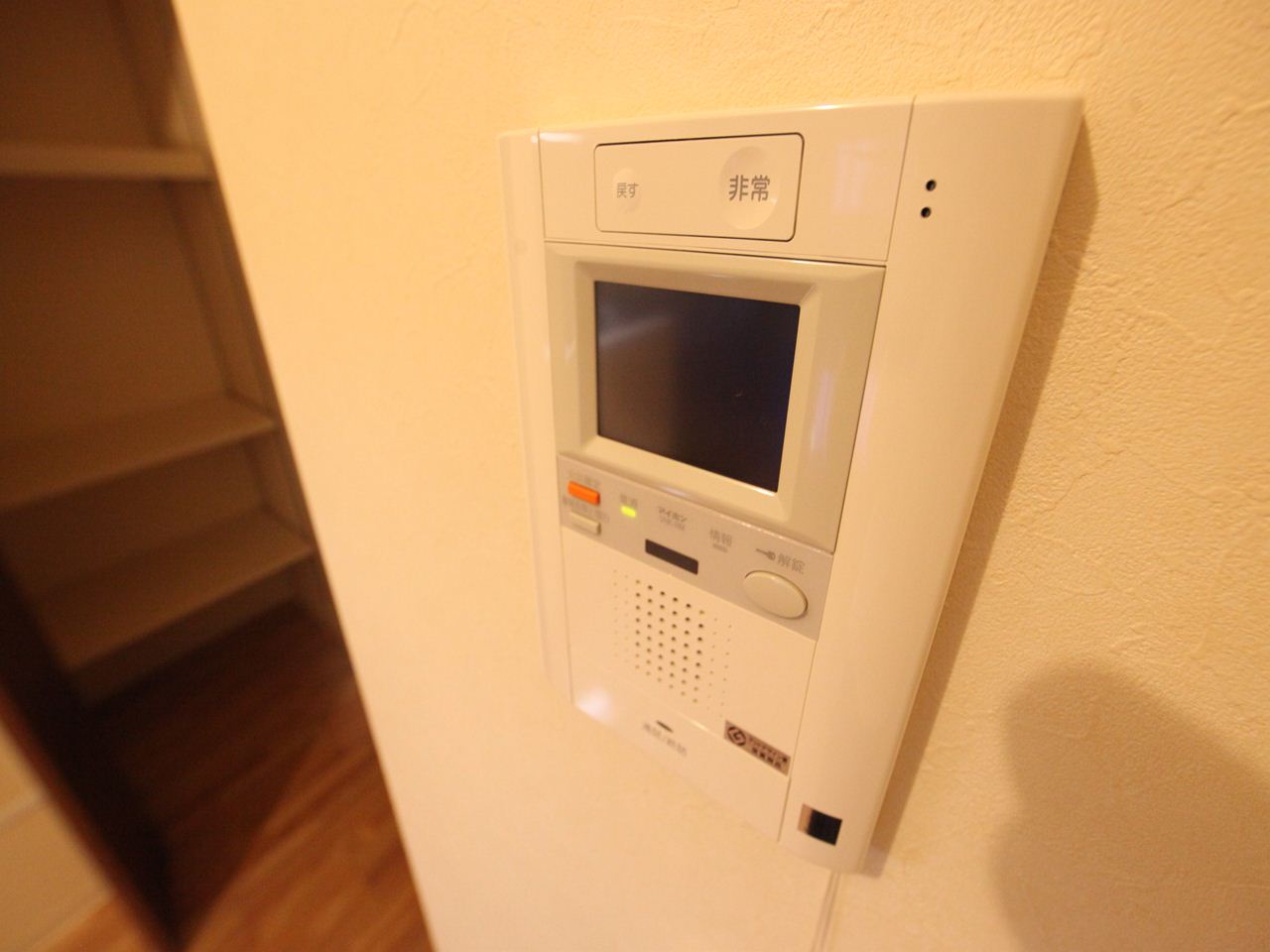 Security. Intercom with TV monitor