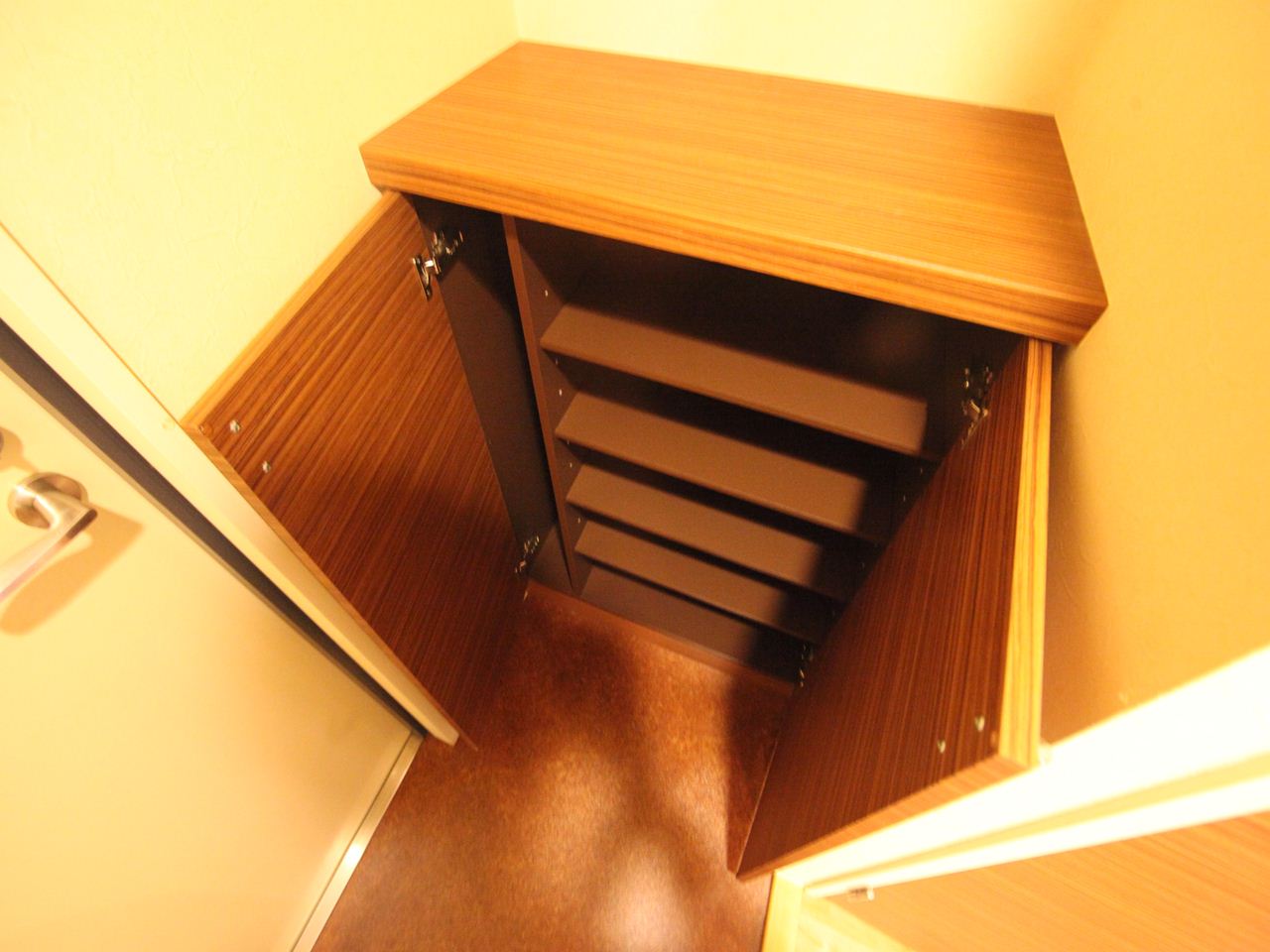 Entrance. Entrance Shoe box Storage rich have