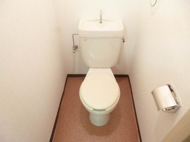 Toilet. Toilet