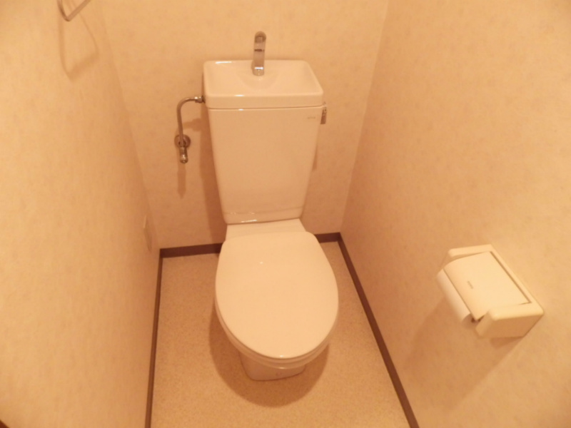 Toilet. Toilet