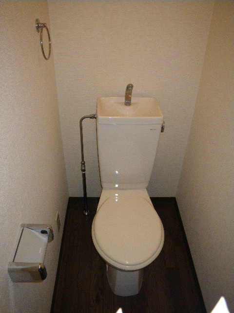 Toilet. Toilet