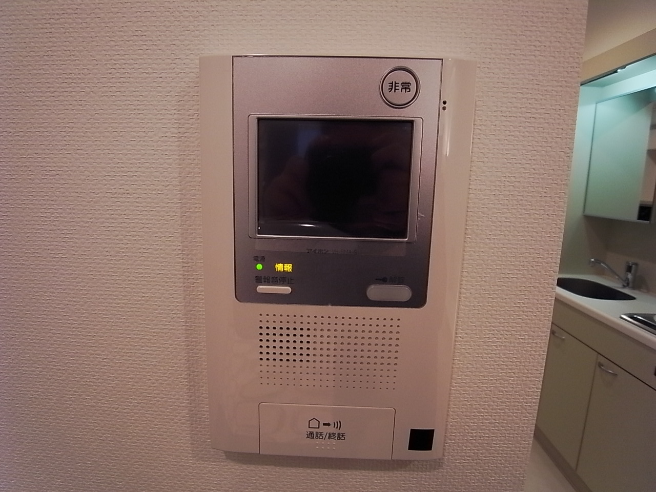 Security. Intercom with TV monitor