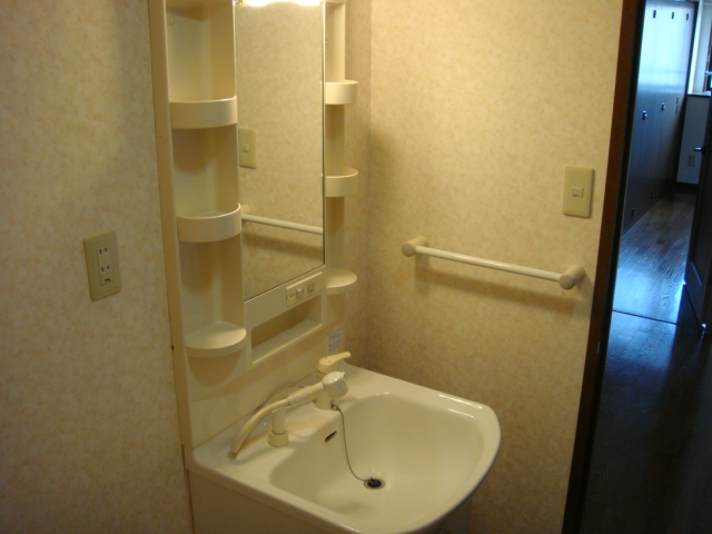 Washroom. Shampoo dresser