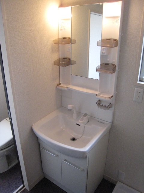 Washroom. Shampoo dresser