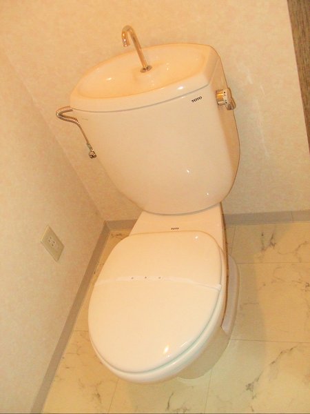 Other. Toilet