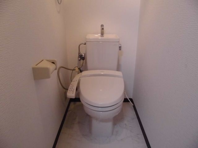 Toilet. Indoor Laundry Storage