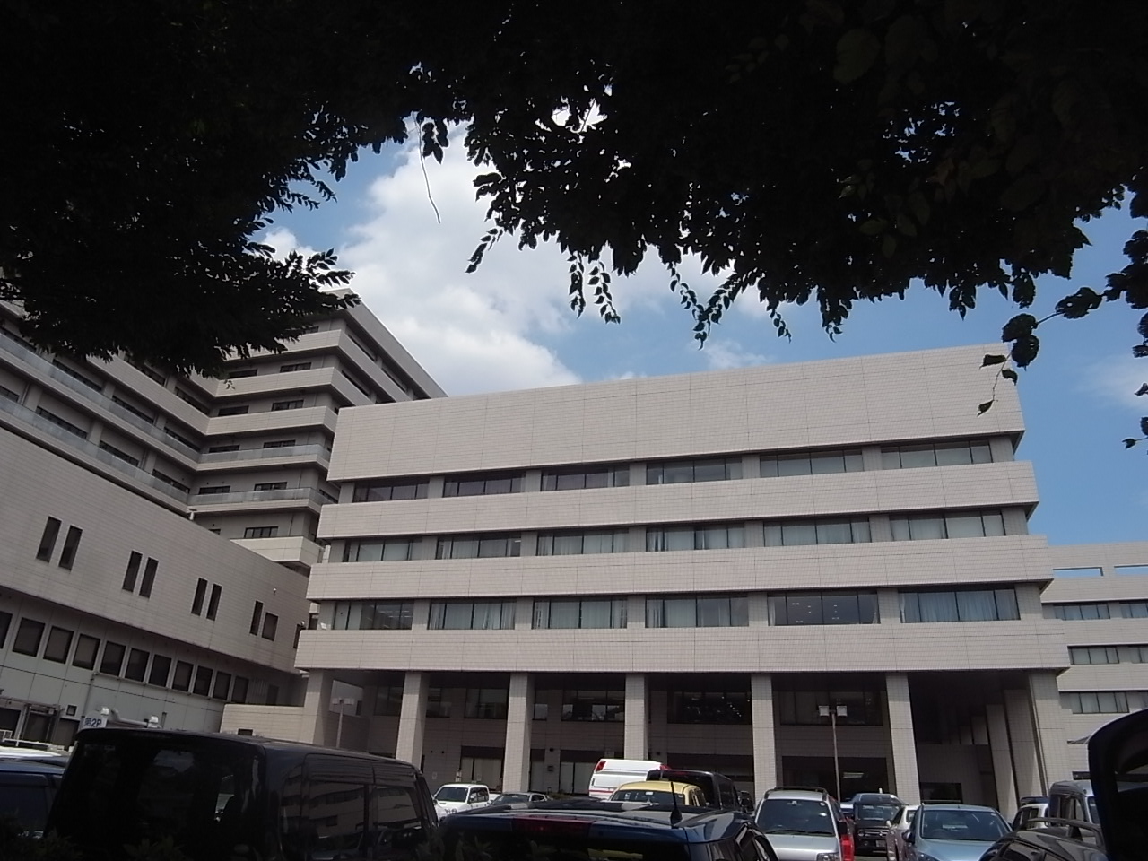 Hospital. National Hospital Organization 1500m to Nagoya Medical Center (hospital)