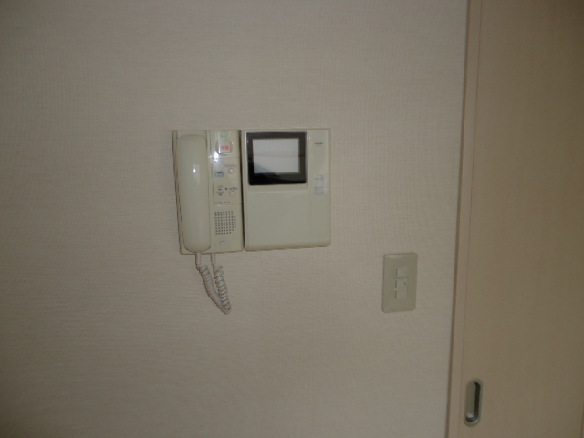 Security. Monitor with intercom