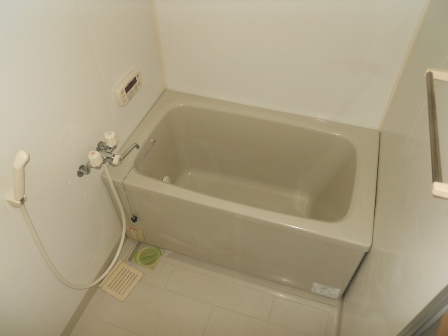 Bath. Bathroom (bath toilet by type