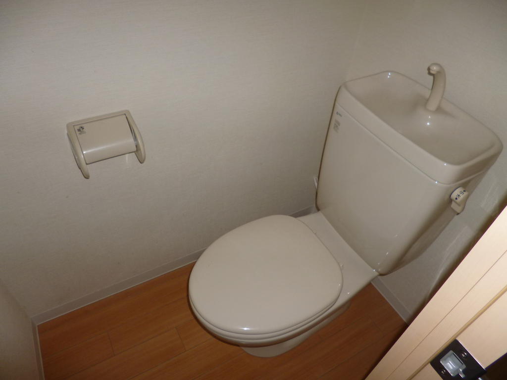 Toilet. Toilet