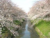 park. Kowatari Bridge town zoo to (park) 143m