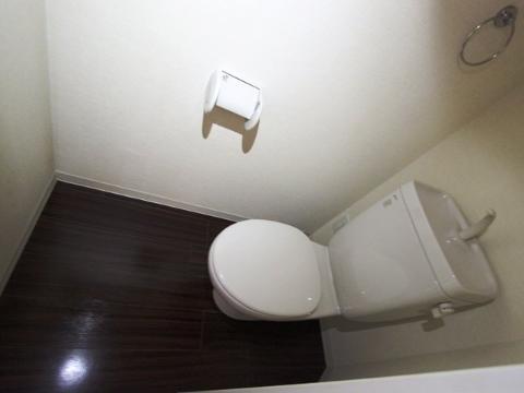 Toilet. Toilet