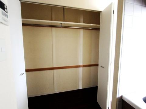 Other room space. LDK closet