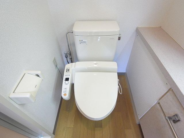 Toilet. Western-style toilet