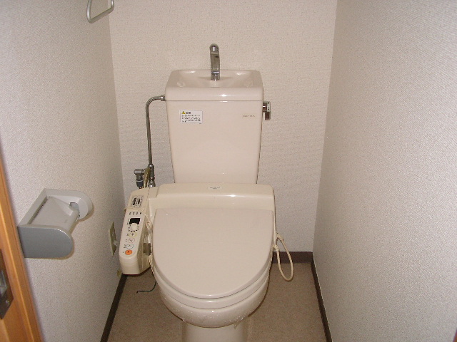 Toilet. Warm water washing toilet seat