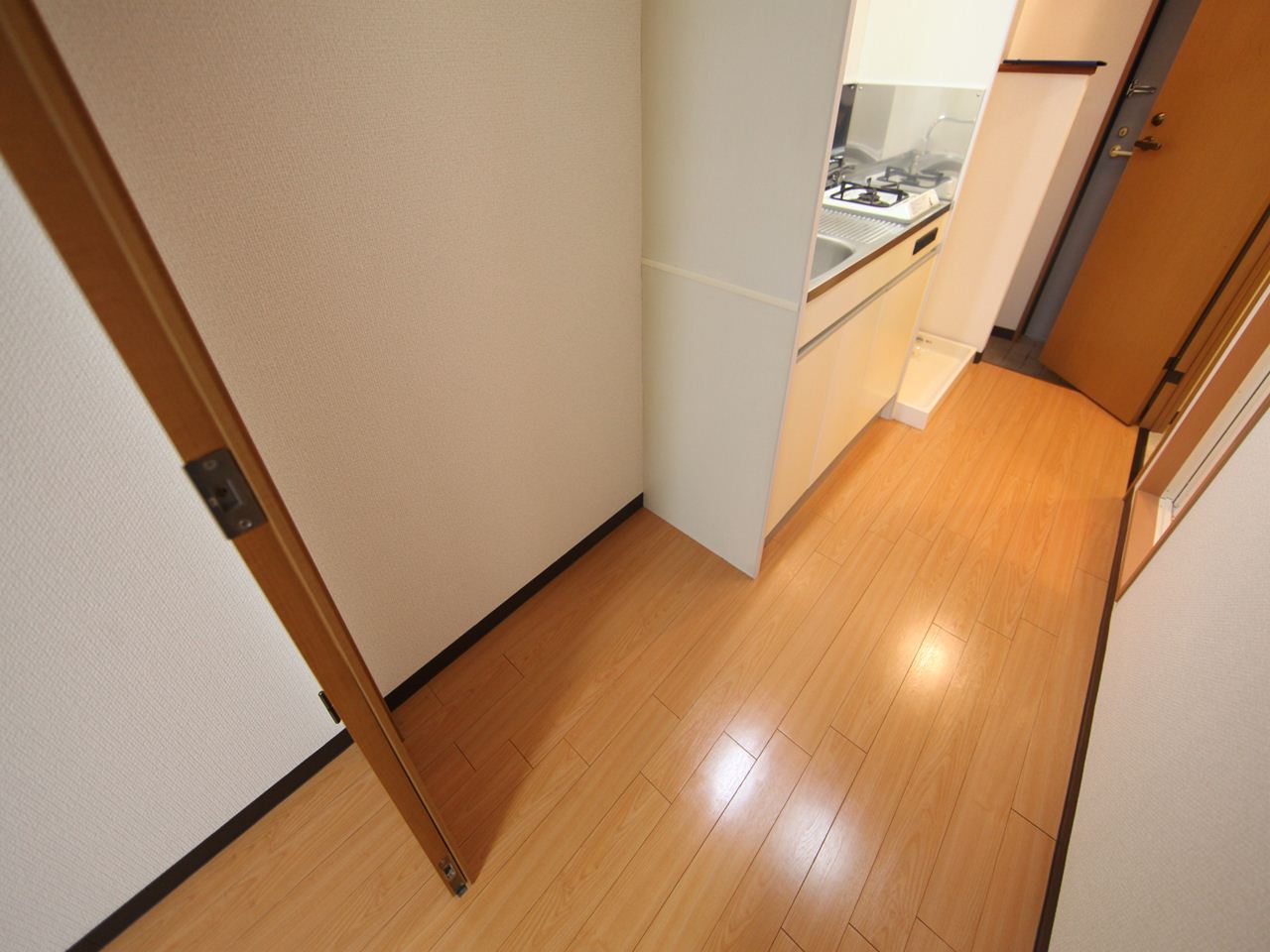 Other room space. Corridor Kitchen space Refrigerator space of spread