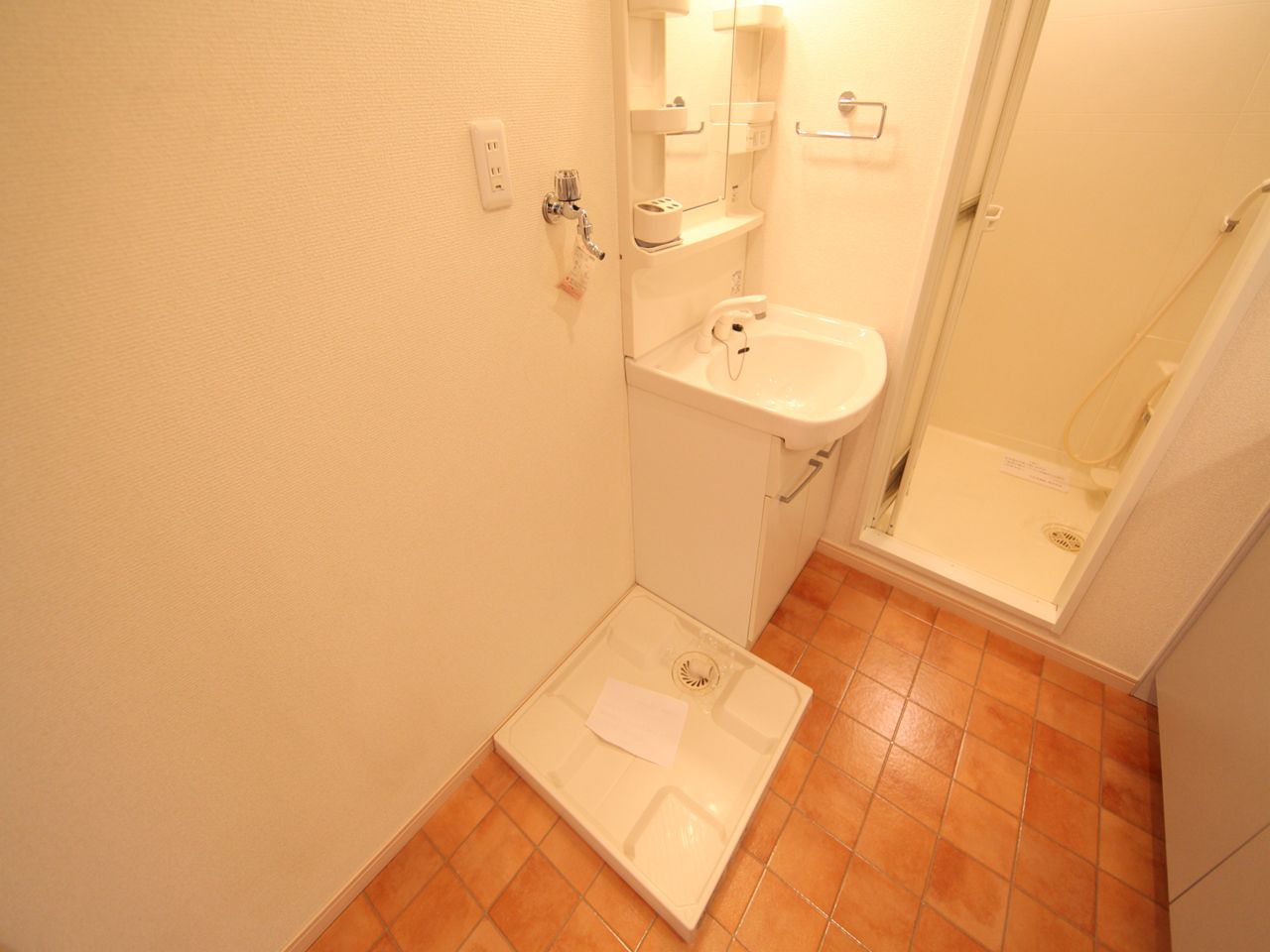 Washroom. Independent washbasin (with shampoo dresser)