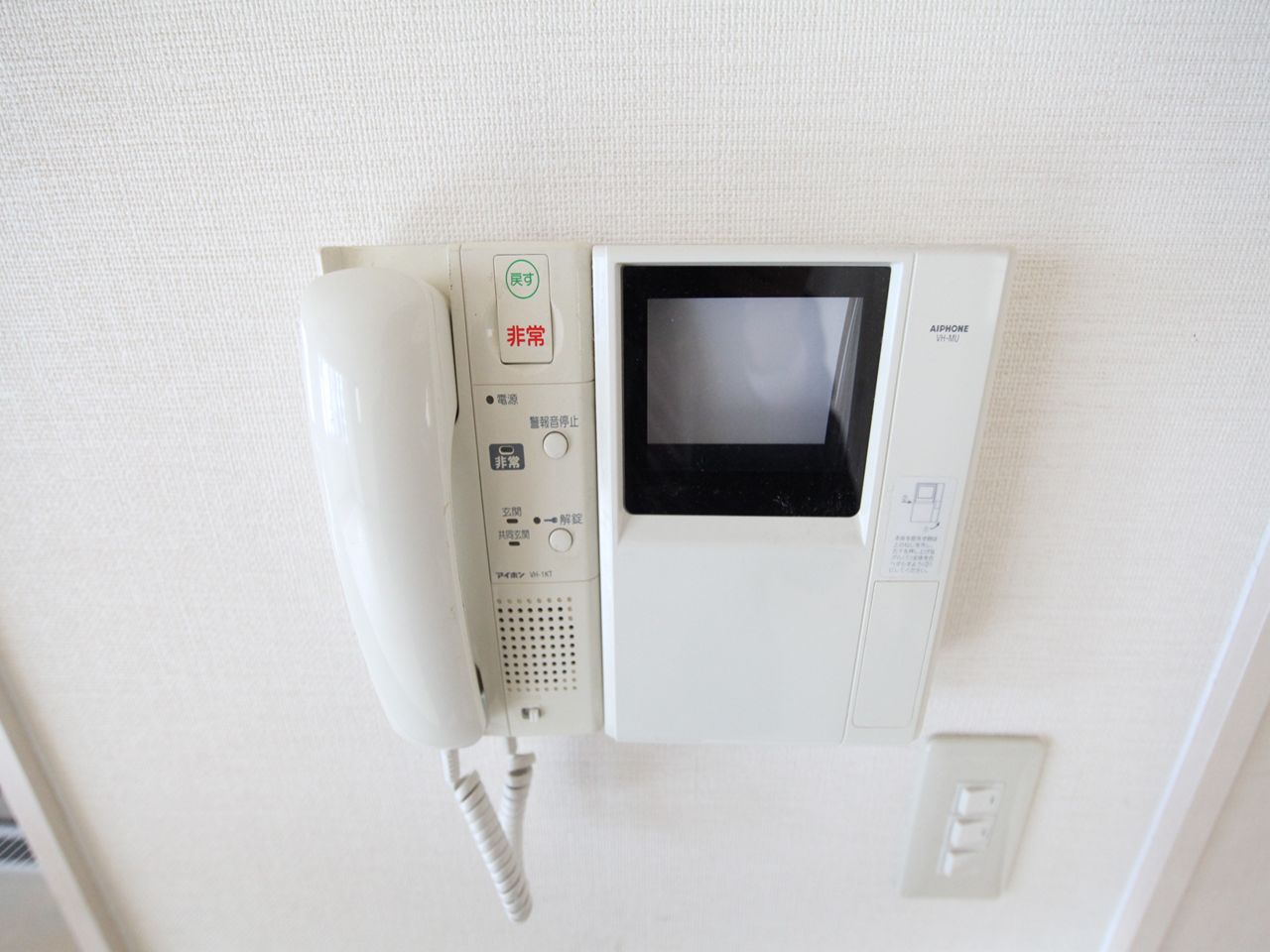 Security. Intercom with TV monitor