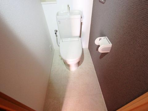 Toilet. Toilet