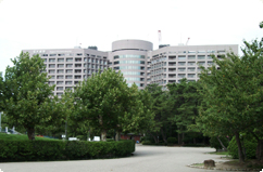 Hospital. 800m to Nagoya University Hospital (General Hospital) (hospital)