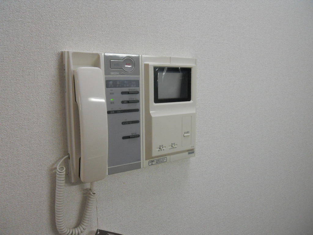 Security. Monitor with intercom