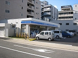 Convenience store. 195m until Lawson, Chiyoda-chome store (convenience store)