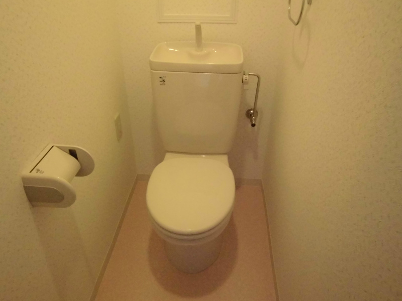 Toilet. Toilet