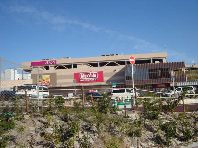 Shopping centre. 490m until ion shopping mall (shopping center)