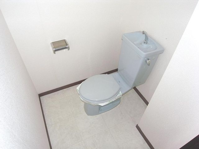 Toilet. Bright Western-style