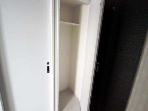 Other room space. Dressing room storage