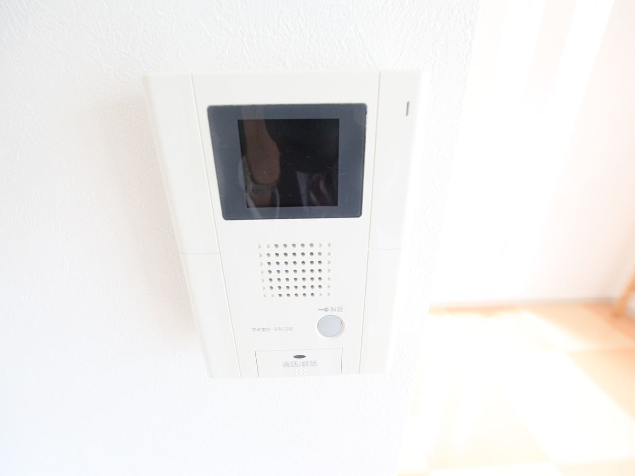 Security. Intercom with TV monitor