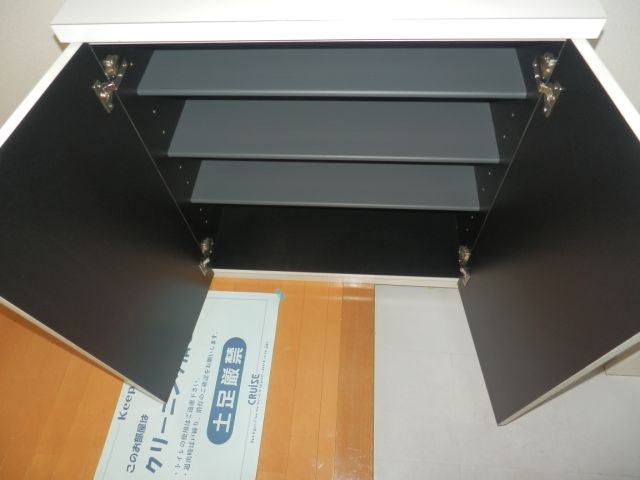 Other Equipment. It is a shoebox. Since there are four columns storage, Guests can enjoy a fashionable feet. 